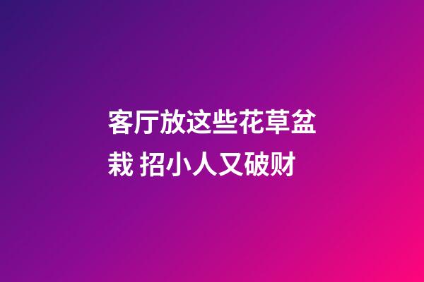 客厅放这些花草盆栽 招小人又破财